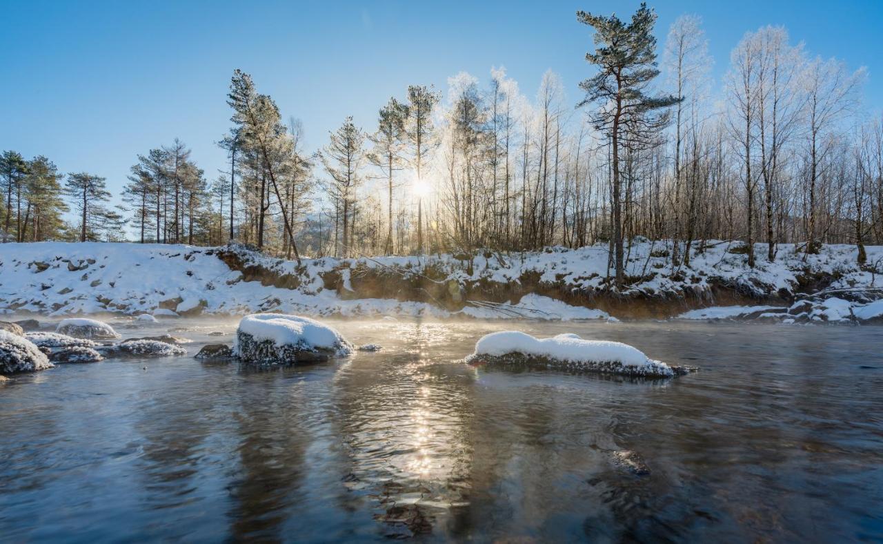 Jolstraholmen Camping Og Hytter Vassenden Exteriör bild